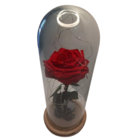 Rosa Larga Luces LED con Cúpula de Cristal